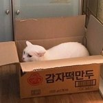 나만 <b>sns</b> 다 안하냐