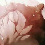 [진격의거인] 판 <b>운영</b>자 뒷모습 도촬함