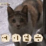 [댓글부탁해] 짝남 나한테 어<b>장치</b>나