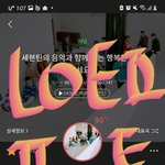[세븐틴] 야 근데 <b>와전</b>되는건 잡아야 하지 않겠음?