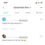 [세븐틴] 아니 아래버스