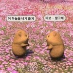 이거 판<b>밍</b>아웃짤<b>이</b>야???
