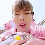 내 최애 손 21이라던데