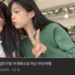 [추반] 니트 이거 사는거 에반가???