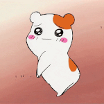 얘드라 알려줄사람?ㅠㅠ 내신 1.8정도면