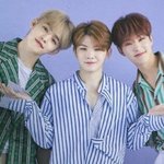 [세븐틴] <b>캐럿</b> 멘탈 잡아