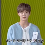 [트레저] 어...내가 <b>미안</b>해