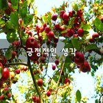 [50대] 긍정적인 생각~