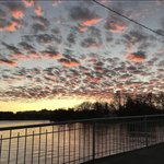 [19] 나 임신일까봐 무섭고 ㅈㄱ싶어...