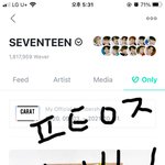 [세븐틴] 하도 울어서