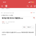 [세븐틴] 관음 ㅈㄴ많네 진짜
