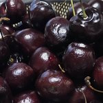 체리가. 왜이럿케. 맛이없노.