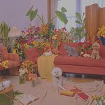 [<b>TXT</b>] ㅅㄷ 툽 노트북 배경화면 할만한 거 잇어??