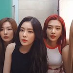 <b>슬기</b> 팔길이 뭐노