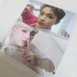 [NCT즌] 똑똑 나의 귀여운 <b>아기</b>고양이들 포카 <b>자랑</b>해도 되니