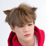 [NCT즌] 얘네 <b>품종</b>이 뭐죠