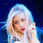 <b>로제</b>
