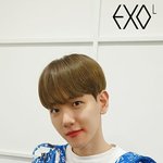 백현이 이 옷 입은 거 조카 좋아