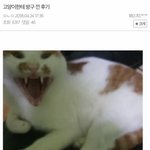 나 비계 <b>언팔</b>당했다 ㅅㅃ...