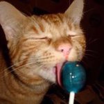 정신 차리니까 고3임