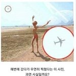 나만 이 짤 ㅈㄴ웃긴가