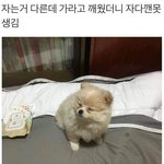 방탄 뷔 정국 <b>자다</b>깬거 ㅇㄱㄹㅇ