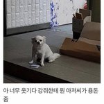 [댓글부탁해] 근데 왜 일반고에서 <b>연대</b>가긴 어려울까?