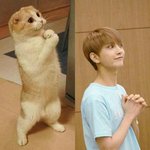 [댓글부탁해] 3월 1일부터 걍 굶음