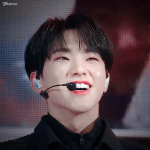 [세븐틴] <b>햄</b><b>찌</b>냐... 호랭이냐...