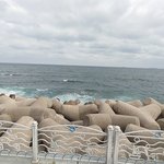 나 짐 <b>동해</b> 바다