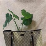 <b>송도</b> ㄱㄱㅅ중고명품매장에서 2011년도 80만원에 구입했던게 팔려고갔더니...