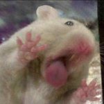[댓글부탁해] 너네 뿌<b>링클</b> 시킬ㄹ때