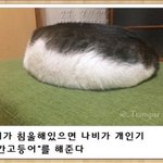 [댓글부탁해] 나 <b>인생</b> <b>마지막</b> 치킨 시켰어