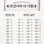 [무한<b>분열</b>] 너네 이름 뭐임
