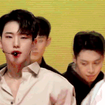 [세븐틴] <b>심신</b>안정 마불지 보러간다