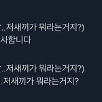 [댓글부탁해] 야 근데 <b>복코</b> 괜찮지 않음?