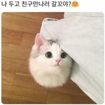 [댓글부탁해] 영어<b>토론</b> 동아리 질문 뭐나올까??ㅠㅠㅠㅠ제ㅓㄹ 섴밴ㅁ들
