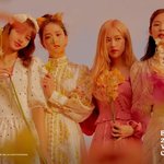 [블랙핑크] 블랙핑크 사랑해