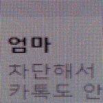 얘들아....엄마가 연끊자고 했다