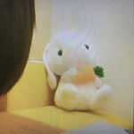 빅히트 돌 팬아 얘 누구야