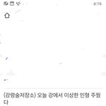 짤짤짤