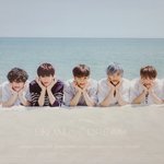 [무한분열] 미쳤네 개이쁘다