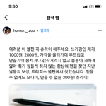 나 고1인데 수학 선행 이정도면 ㅈ된거임? 아님 뼈빠지게하면 ㄱㄴ일까...