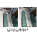 [댓글부탁해] <b>고등래퍼</b> 보는 사람