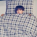 [세븐틴] ㅅㄷ 다들사진정리어<b>캐해</b>