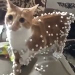 혹시 <b>INTJ</b> 있어??