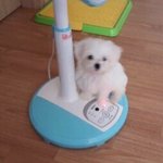 <b>오</b>천원짜리 렌즈