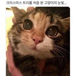 너네 친구랑 <b>놀러</b>가는데 이렇게 입고오면 어떨것같음?