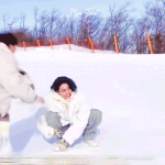 진정국 티격태격