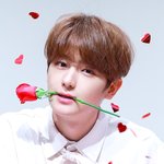 현재야 <b>잘</b><b>자</b> 쪽